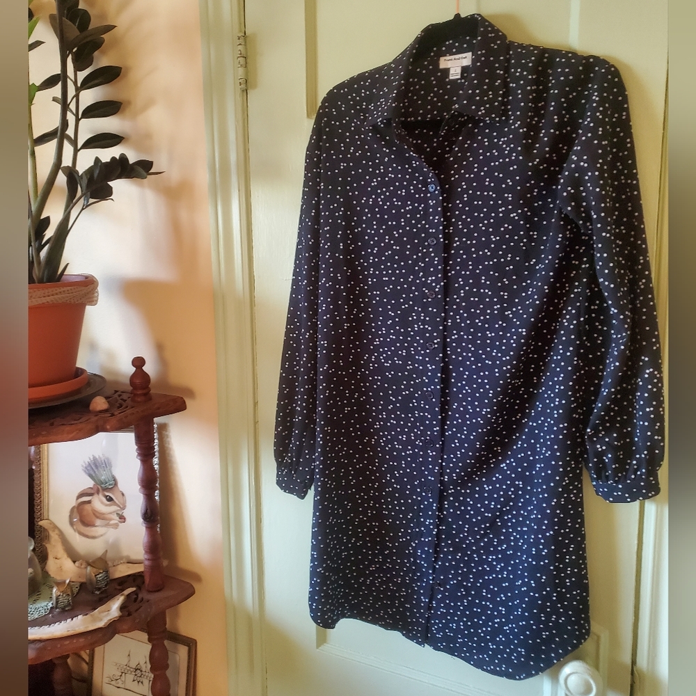 Frank and Oak polka dot long sleeve button up shirt dress